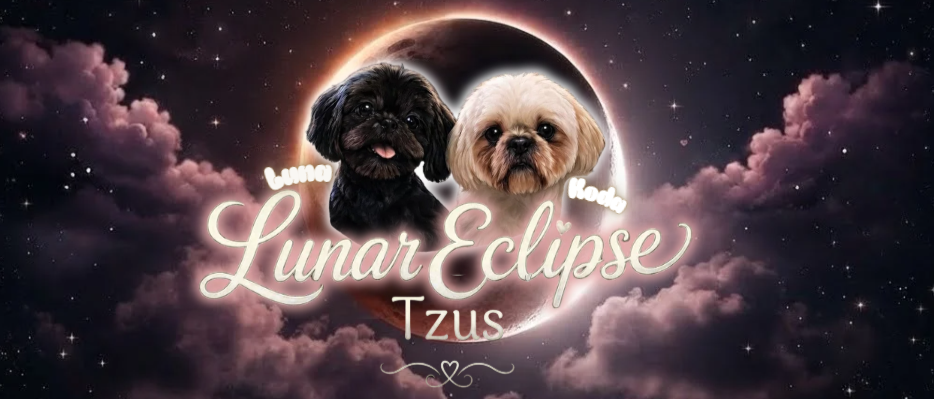 Lunar Eclipse Tzus